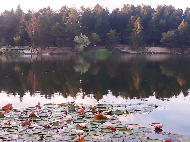 An Autumn Day at Bolu Nature Park