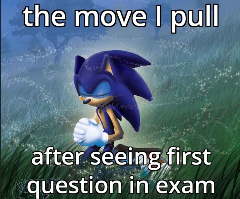 1000039086.jpg