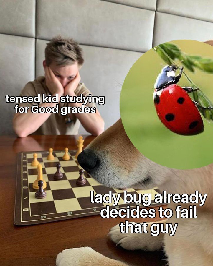 Doge Playing Chess 15082022020219.jpg