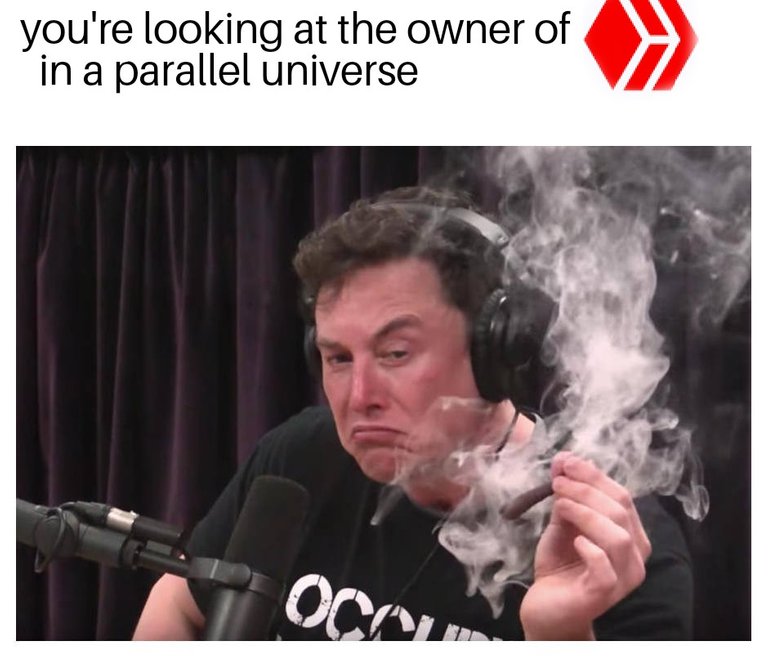 Elon Musk on the Joe Rogan Experience 19062022170057.jpg