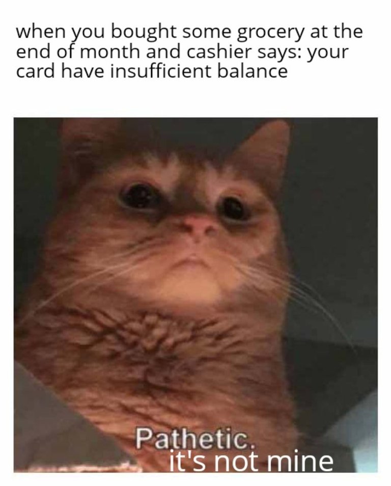 1000023834.jpg