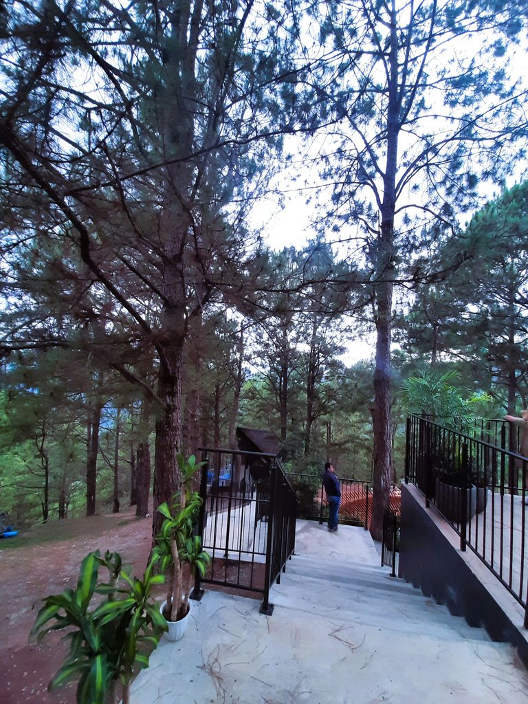 The Stairs