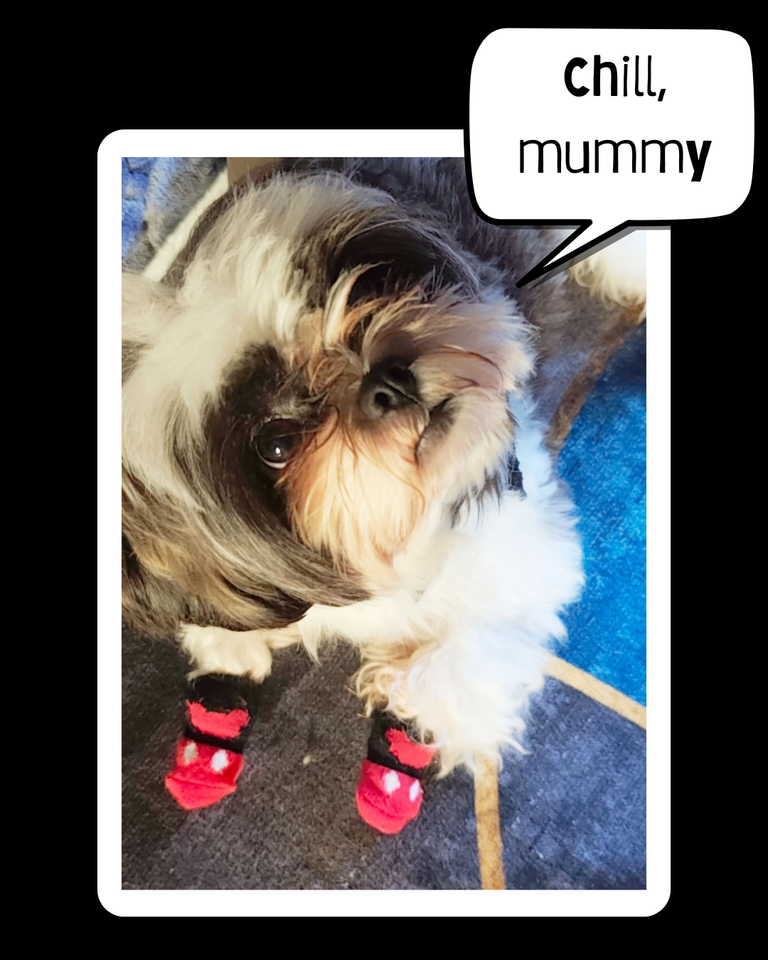 Chill Mummy.png