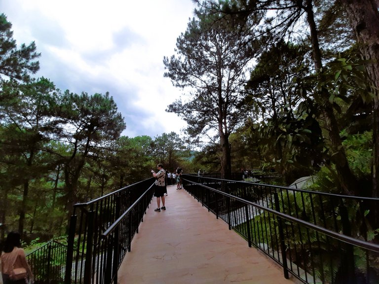 The bridge