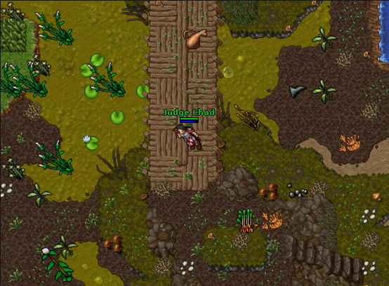 tibia5.png