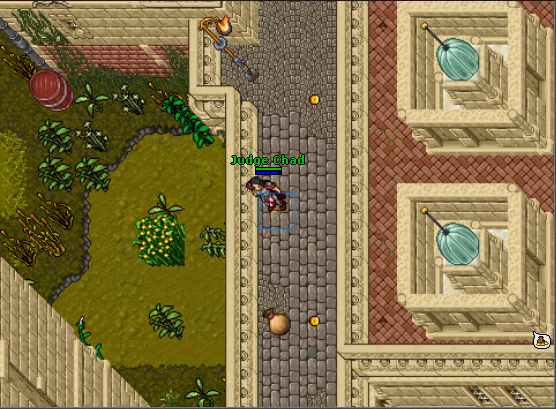 tibia1.png
