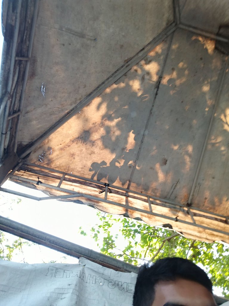 1000010672.jpg