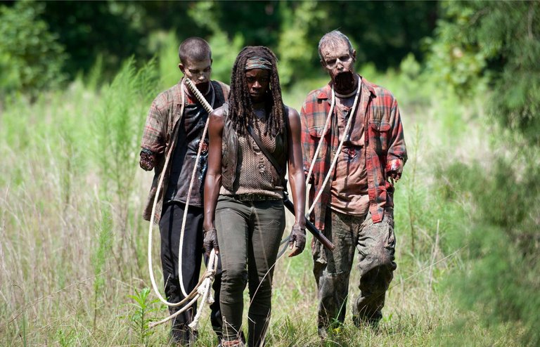 The_Walking_Dead_Serie_de_TV-693506861-large.jpg