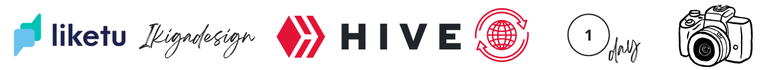 Ikigadesign (4).png