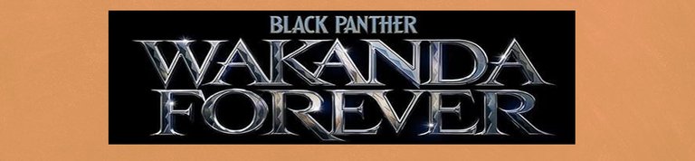 Black_Panther_Wakanda_Forever-879260128-large.jpg