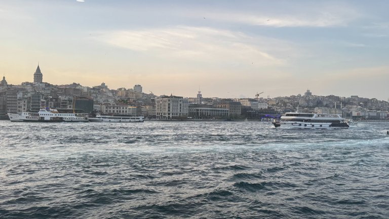 IMG_4017.JPG