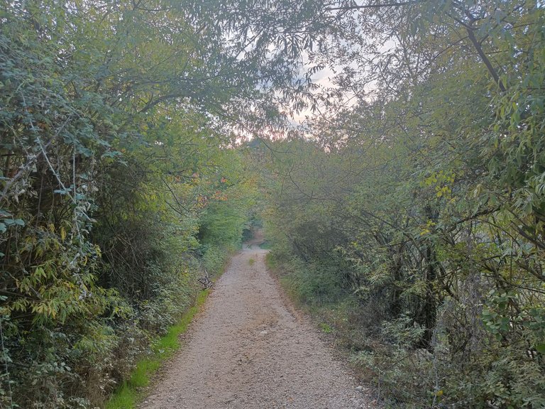 IMG20221010181911.jpg
