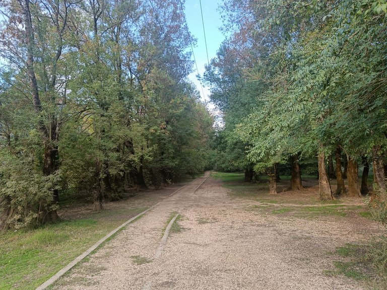 IMG20221010182458.jpg