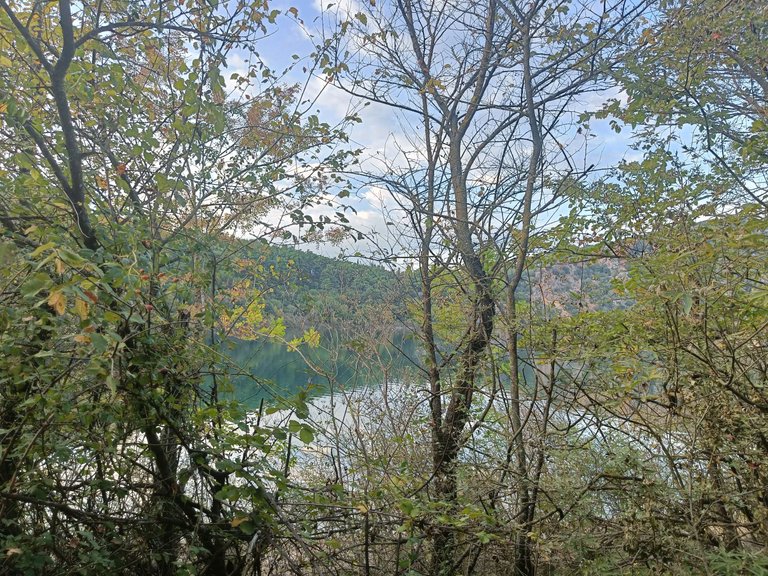 IMG20221010181844.jpg