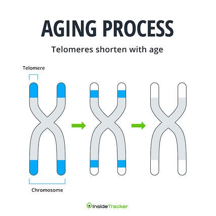 aging-process-white.jpg