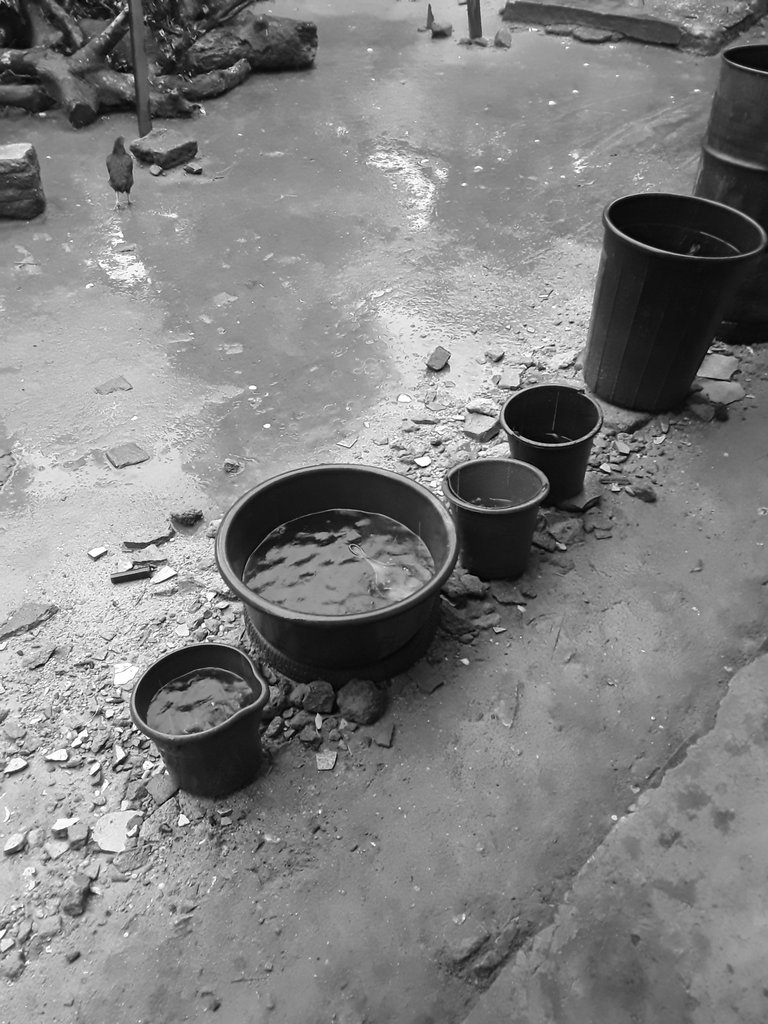 20250804_180950.jpg