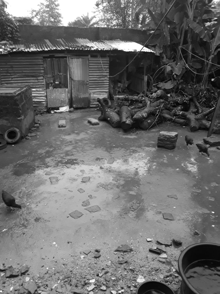 20250804_181027.jpg