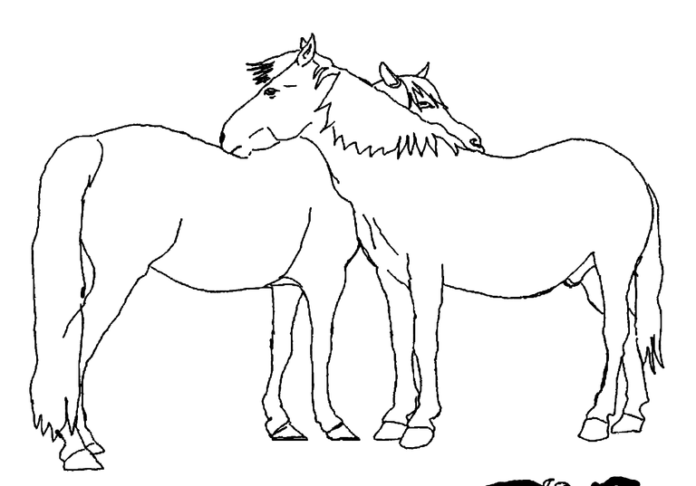 line-horse-1.png