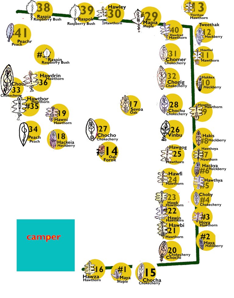 tree-map2024-type-name.jpeg