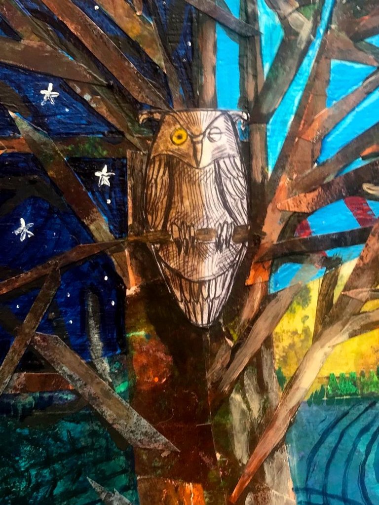 owl.jpeg