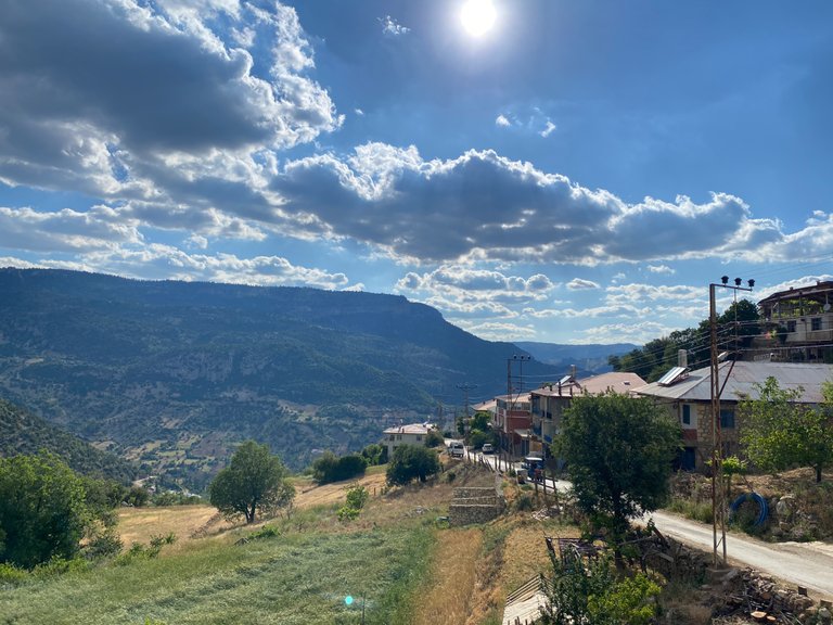 IMG_6883.jpeg