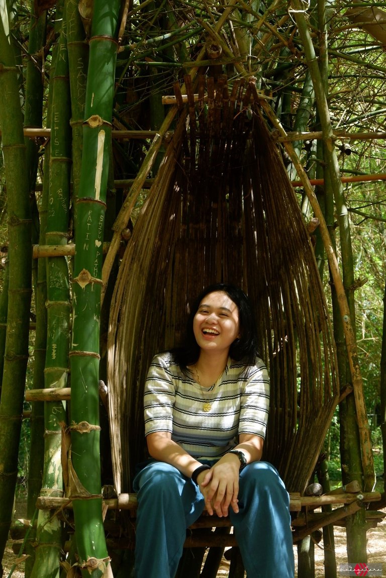 bamboo32.JPG