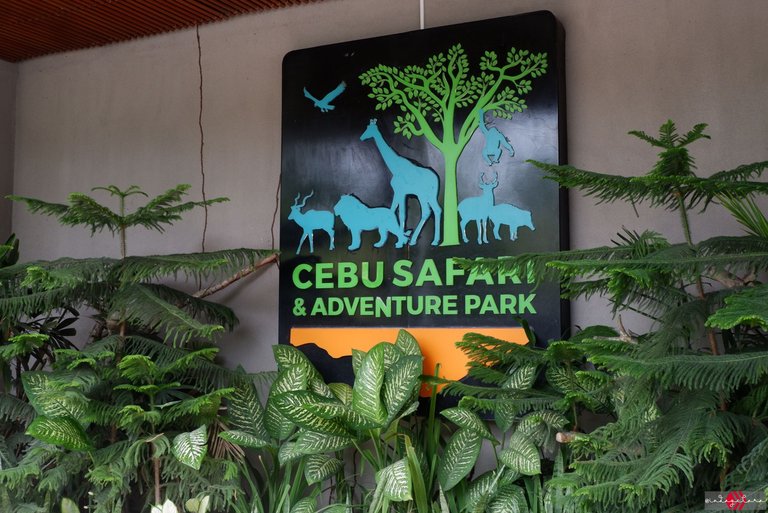 Cebu Safari (3).JPG