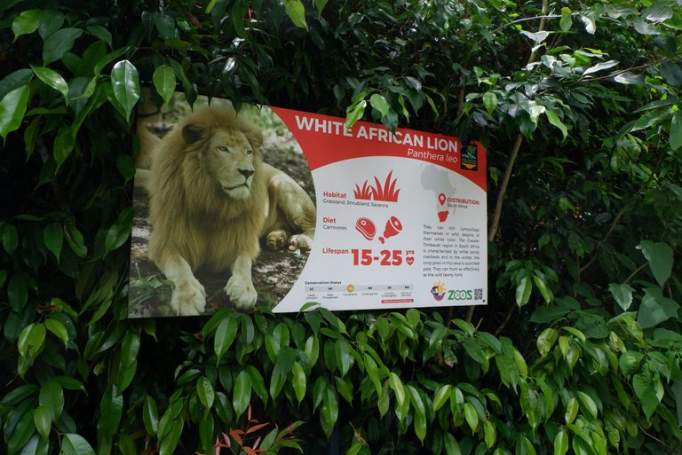 Cebu Safari (66).JPG