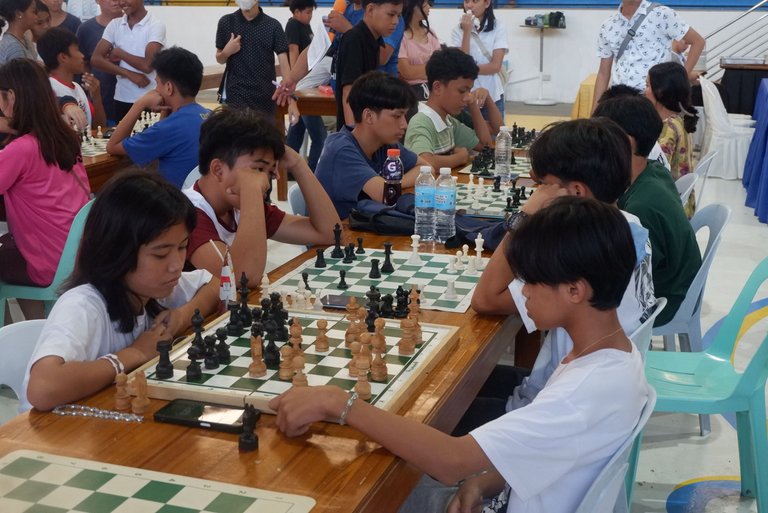 chess301.JPG