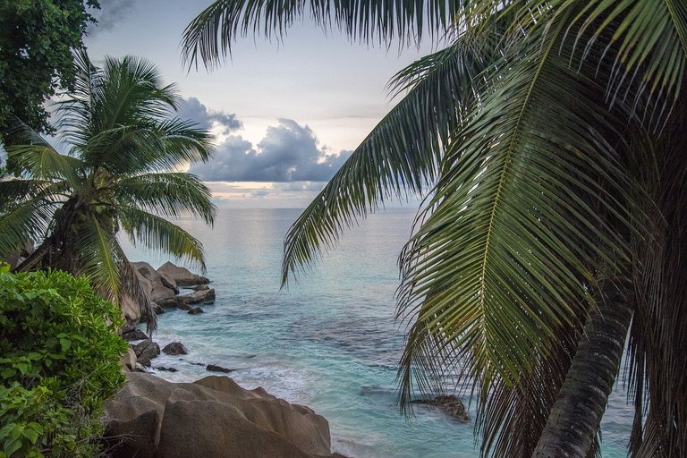 seychelles4916045_1280.jpg