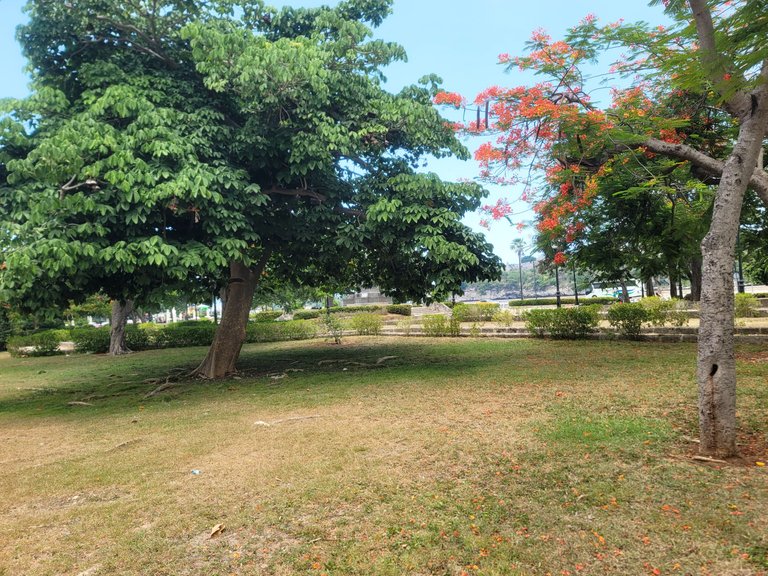 InShot_20250805_221659854.jpg