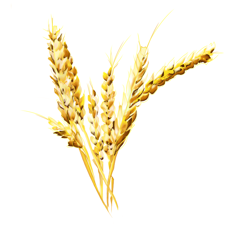 WHEAT.png