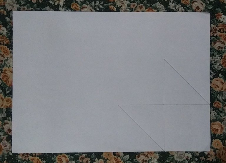 diagonal 2.jpg