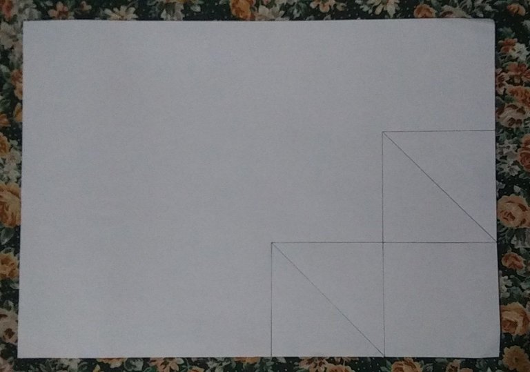 linea diagonal.jpg
