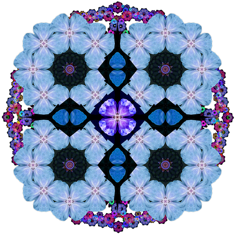 flower_4.png