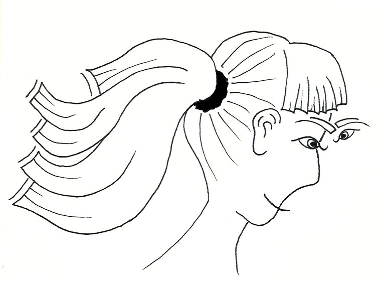 ponytail.jpg