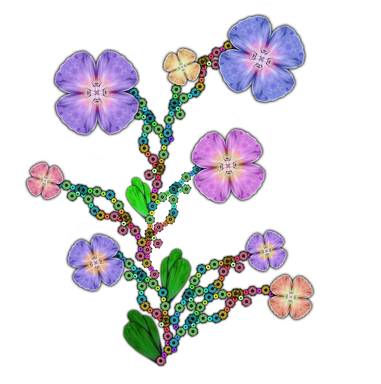 flower_3.png