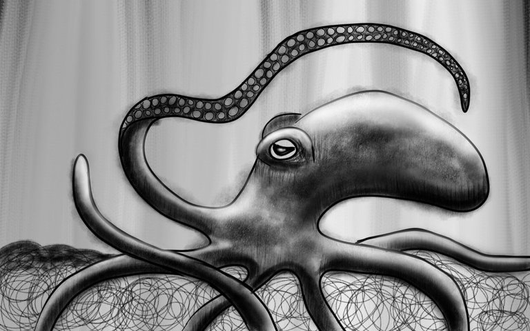 octopus4.jpg