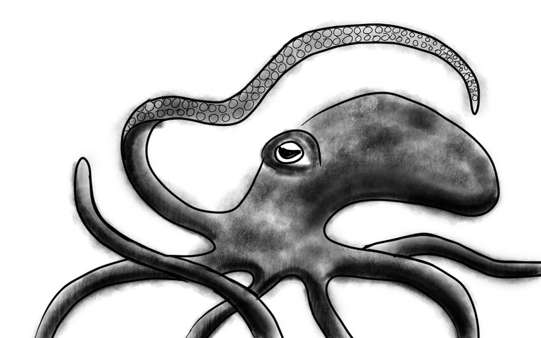 octopus2.png