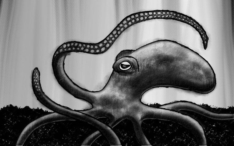octopus5.jpg