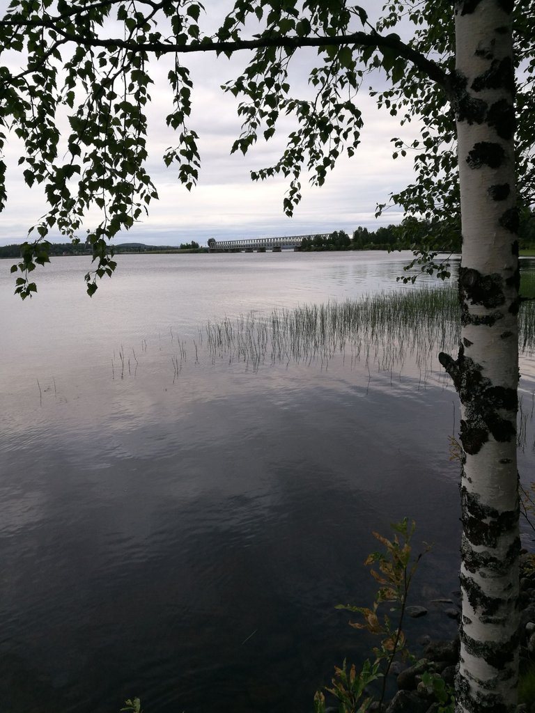 IMG_20210724_204236.jpg