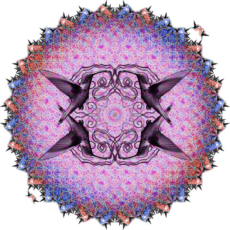 hummingbird_kaleidoscope2.jpg