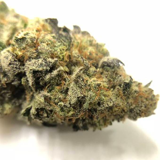 gmo_cookies_strain-crop-c0-5__0-5-680x680-70.jpg