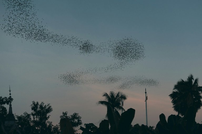 panha-kang-XK-bwSCMT6E-unsplash.jpg