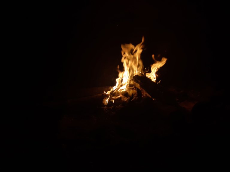 20220528_225145.jpg