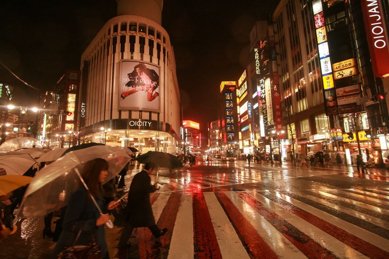 Shibuya Nights.JPG