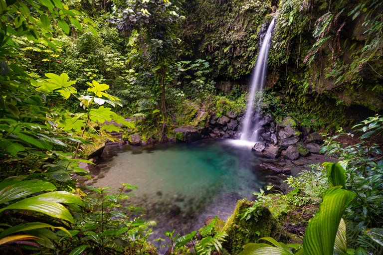 Emerald Pool Dominica.jpg
