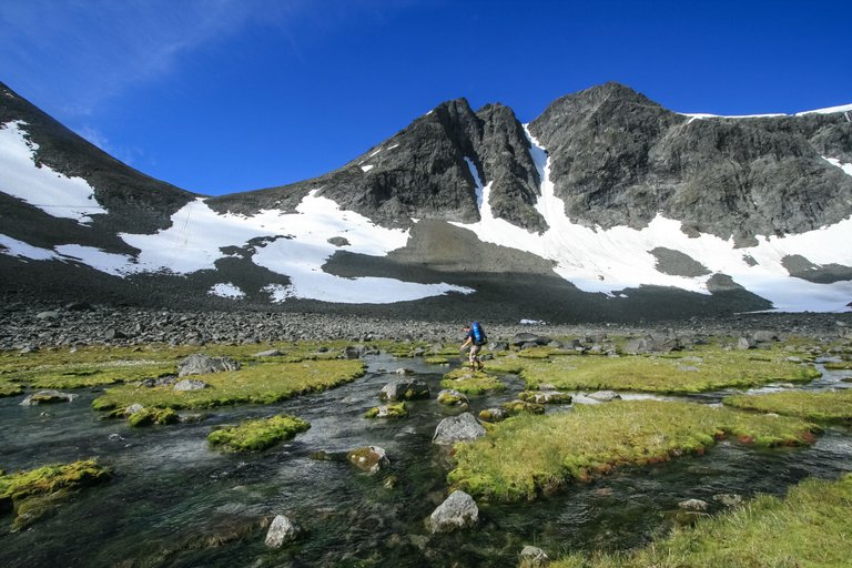 arctic marshland.JPG