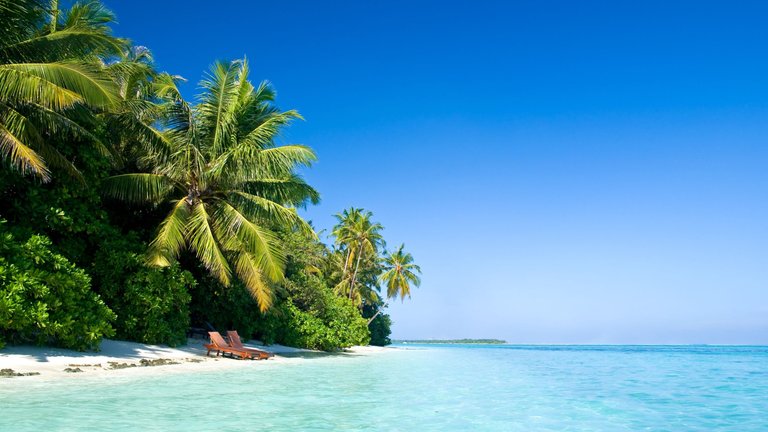 3199191-3840x2160-desktop-hd-beach-palm-tree-wallpaper (2).jpg