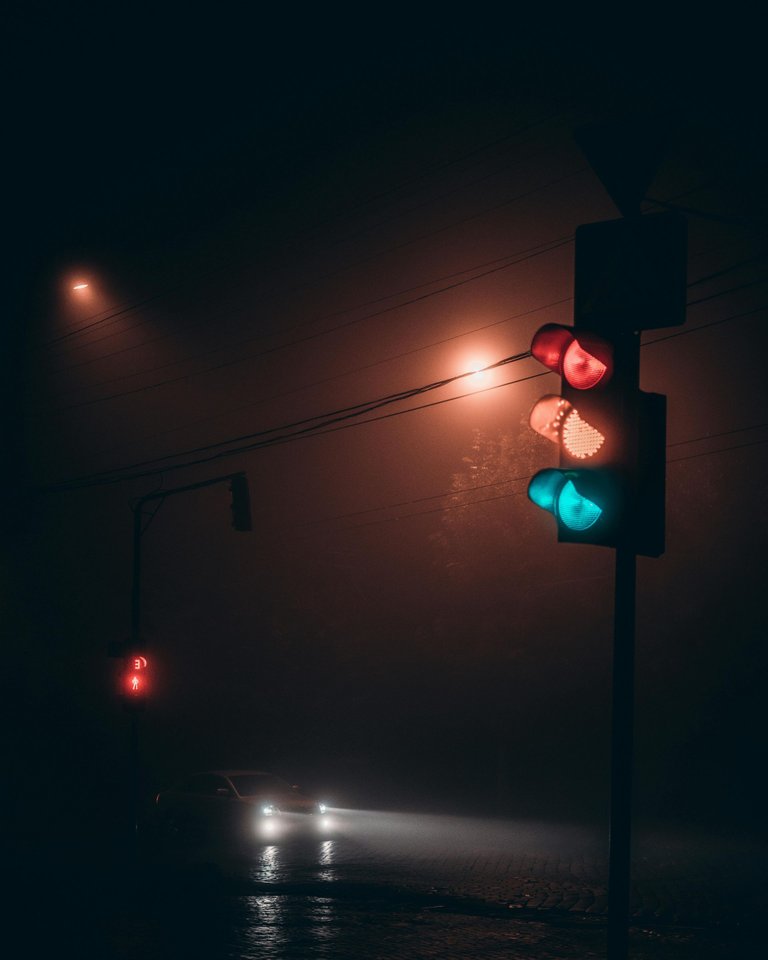 pexels-elijahsad-6059094.jpg